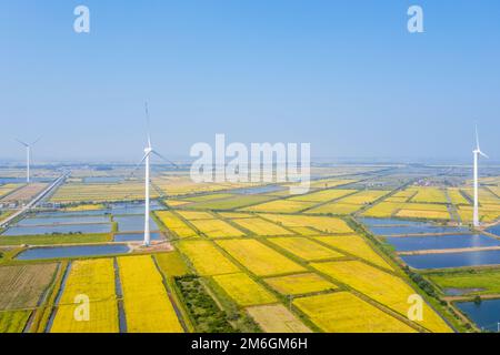 Windmühlen auf Herbstfeldern Stockfoto