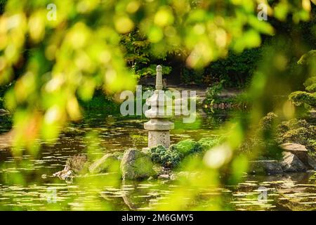 Herbstpark. Japanischer Garten in Breslau, Polen. Hochwertiges Foto Stockfoto