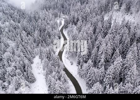 Luftaufnahme einer wunderschönen verschneiten, gewundenen Straße durch Fichtenwälder nach Schneesturm in den Bergen in der Nähe der Stadt Zelezniki in Slowenien Stockfoto