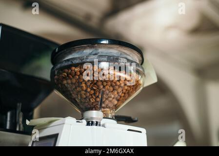 Kaffeebohneninhalt in der Kaffeemühle Stockfoto