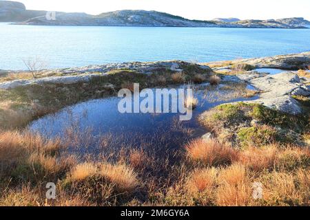 Die Sonne reflektiert vor der felsigen Küste Norwegens im Ozean Stockfoto