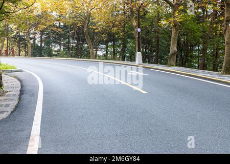 Bergstraße im Herbstwald Stockfoto