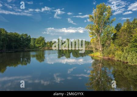 Ruhiger Sommersee im Wald Stockfoto