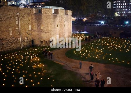 Lichter werden auf dem Gelände des Tower of London ausgestellt, um den Remembrance Day in London zu feiern Stockfoto