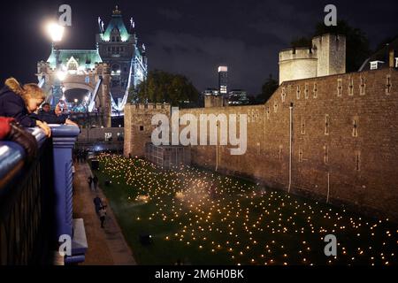 Lichter werden auf dem Gelände des Tower of London ausgestellt, um den Remembrance Day in London zu feiern Stockfoto