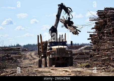 Vorgänge zum Verladen eines Logging-Staplers Stockfoto