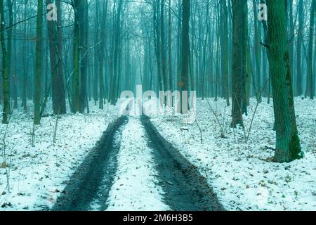 Unbefestigte Straße durch einen nebligen Winterwald Stockfoto