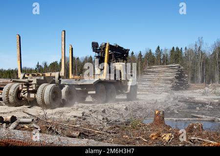 Vorgänge zum Verladen eines Logging-Staplers Stockfoto