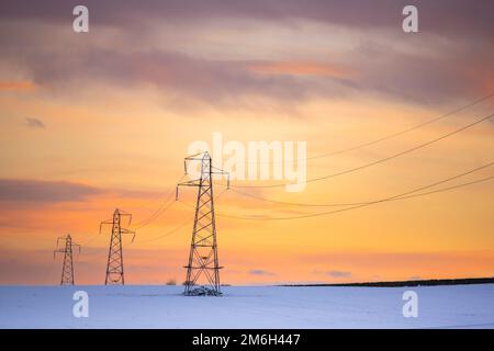 Ein Blick auf elektrische Pylonen an der schottischen Grenze. An einem kalten, verschneiten Wintertag. Bild Phil Wilkinson/Alamy Stockfoto