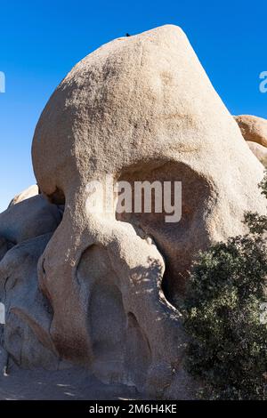Skull Rock Formation, Joshua Tree National Park, Kalifornien, USA Stockfoto