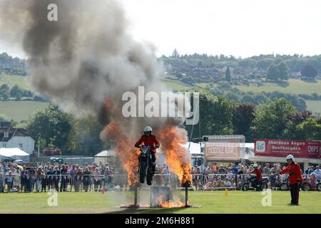 IMPS Motorcycle Display Team in Aktion beim Armed Forces Day 2019, Salisbury - Hudson's Field, 30. Juni 2019 Stockfoto