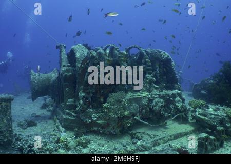 Ankerwinde des Thistlegorm aus dem Zweiten Weltkrieg. Tauchplatz Thistlegorm Wreck, Sinai, Ägypten, Rotes Meer Stockfoto