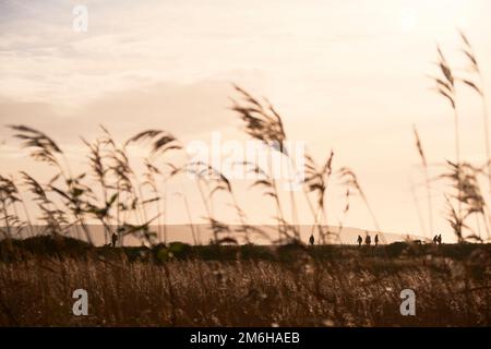 Die Wanderer sind in der Ferne auf der Seebaumdeiche von Keyhaven umrandet Stockfoto