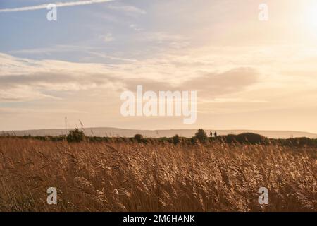 Die Wanderer sind in der Ferne auf der Seebaumdeiche von Keyhaven umrandet Stockfoto