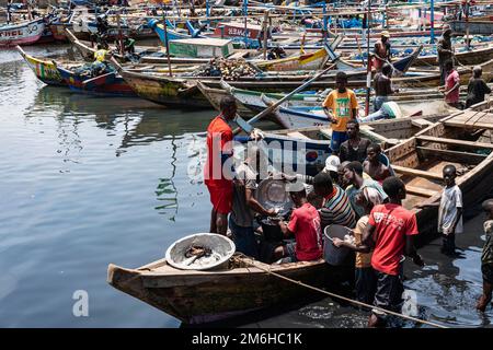 Fischer mit Fang im Fischerboot, Fischmarkt, Fischereihafen Elmina, Goldküste, Golf von Guinea, Ghana Stockfoto