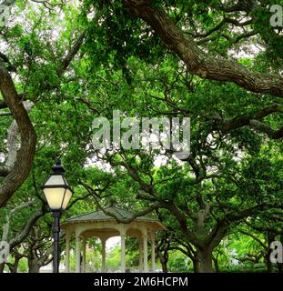 Waterfront Park neben dem Hafen in Charleston, South Carolina Stockfoto