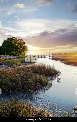 Häuser an der Küste in der Ferne entlang der Sumpfwasserstraßen im Low Country bei Charleston SC bei Sonnenuntergang Stockfoto