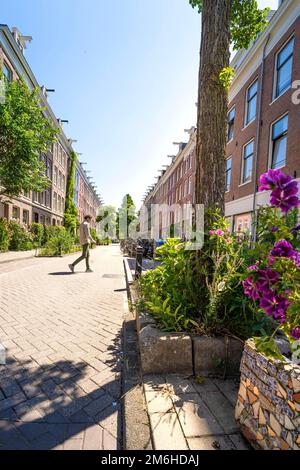Grüne Straßen in der Großstadt Amsterdam, Niederlande Stockfoto