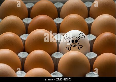 Eine Schachtel brauner Hühnereier, ein weißes toxisches Ei, ein Konzept für Ei-Allergien, Ei-Hygen Stockfoto