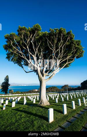 Fort Rosecrans National Cemetery, Cabrillo National Monument, San Diego, Kalifornien, USA Stockfoto