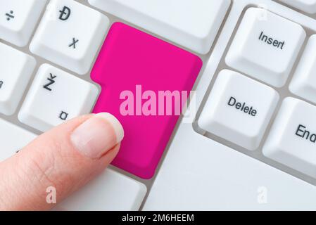 Schwierige Programmcodes Eingeben, Neues Lehrbuch Schreiben, Online-Notizen Aufzeichnen, Programmierideen Präsentieren, Informationen Sammeln Stockfoto