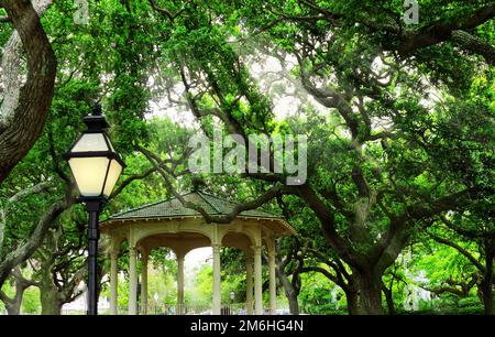 Waterfront Park neben dem Hafen in Charleston, South Carolina Stockfoto