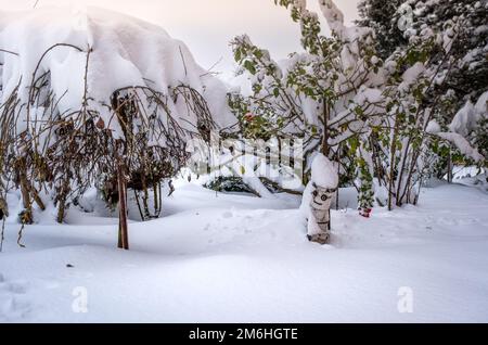 Verschneite Skulptur im Garten, viel Schnee auf Pflanzen und eine Holzfigur Stockfoto