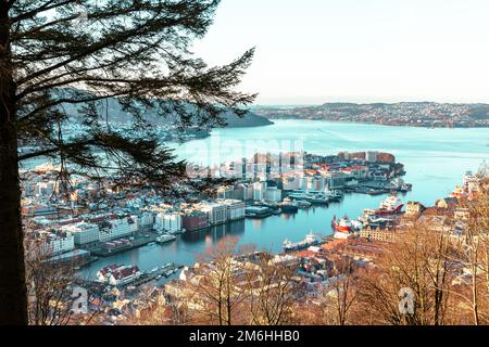 Wunderschöner Blick auf das Stadtzentrum von Bergen mit Hafen von Floyen in Norwegen, UNESCO-Weltkulturerbe. Stockfoto