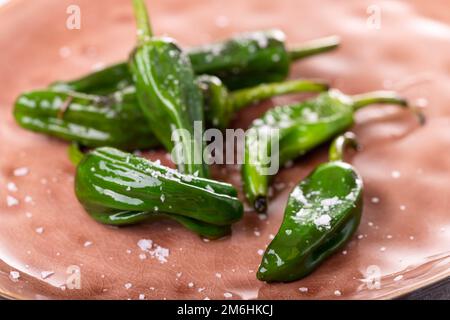 Grüne Pimientos de padron mit Meersalz Stockfoto