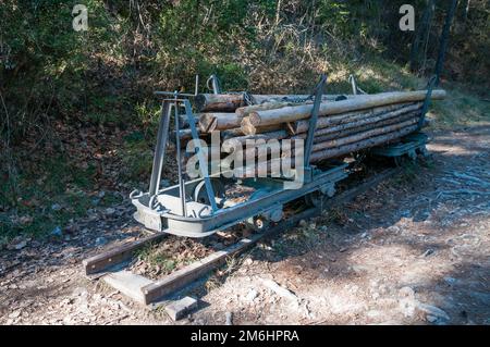 Alter Eisenbahnwaggon mit einer Ladung Baumstämme auf einer Wanderroute, Bagà, Katalonien, Spanien Stockfoto