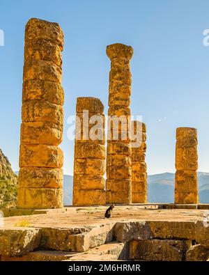 Delphi Sanctuary, Phocis, Griechenland Stockfoto