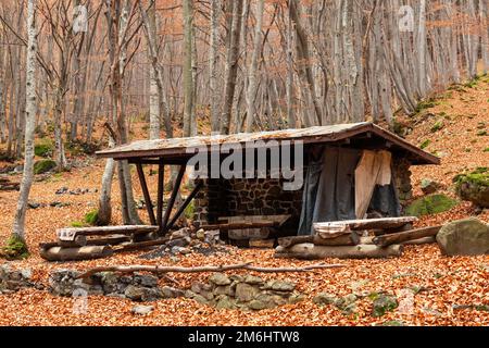 Leerer Picknickbereich im Vitosha-Berg bei Sofia, Bulgarien Stockfoto