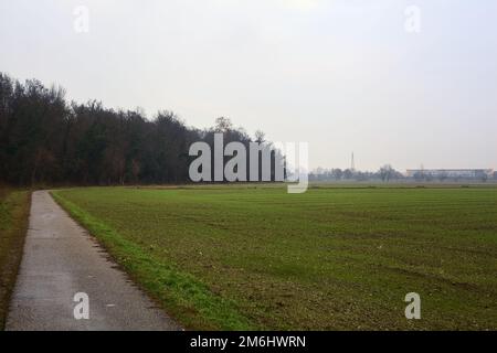 Asphaltpfad, der an einem bewölkten Tag in der italienischen Landschaft von einem bebauten Feld und einem Wald neben einem Wasserstrom umgeben ist Stockfoto