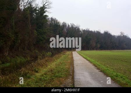 Asphaltpfad, der an einem bewölkten Tag in der italienischen Landschaft von einem bebauten Feld und einem Wald neben einem Wasserstrom umgeben ist Stockfoto