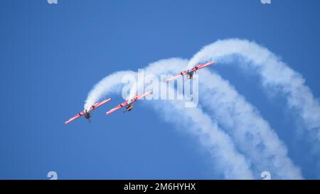 Moskau Russland Zhukovsky Airfield 31 August 2019: Leistung des Kunstflugzeugs Yak-52 der internationale Luft- und Raumfahrtsalon MAKS Stockfoto