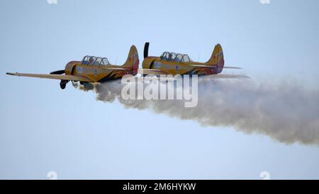 REGION MOSKAU, FLUGPLATZ CHERNOE 22. Mai 2021: Flugzeug Yak-52 das Sky Aviation Festival, Theorie und Praxis Stockfoto