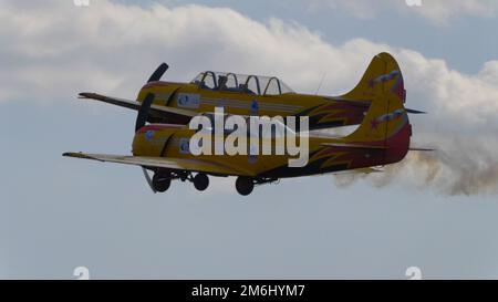 REGION MOSKAU, FLUGPLATZ CHERNOE 22. Mai 2021: Flugzeug Yak-52 das Sky Aviation Festival, Theorie und Praxis Stockfoto