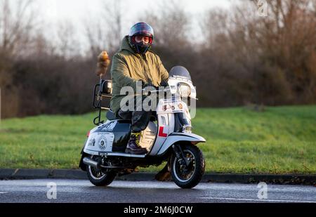 Ein Mann, der einen Lambretta-Roller mit einem Fuchsschwanz auf der arielle fährt Stockfoto