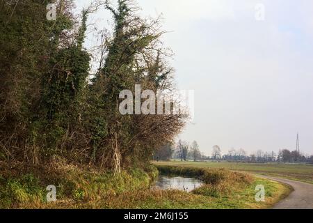 Asphaltpfad, der an einem bewölkten Tag in der italienischen Landschaft von einem bebauten Feld und einem Wald neben einem Wasserstrom umgeben ist Stockfoto