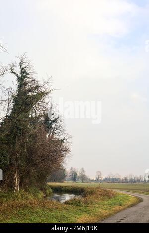 Asphaltpfad, der an einem bewölkten Tag in der italienischen Landschaft von einem bebauten Feld und einem Wald neben einem Wasserstrom umgeben ist Stockfoto