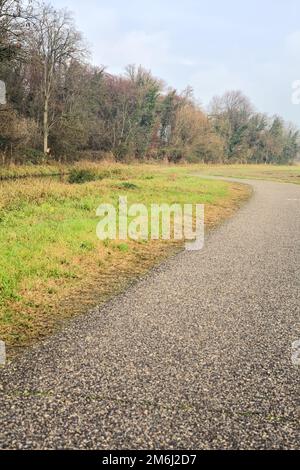 Asphaltpfad, der an einem bewölkten Tag in der italienischen Landschaft von einem bebauten Feld und einem Wald neben einem Wasserstrom umgeben ist Stockfoto