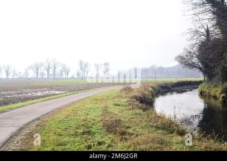 Asphaltpfad, der an einem bewölkten Tag in der italienischen Landschaft von einem bebauten Feld und einem Wald neben einem Wasserstrom umgeben ist Stockfoto