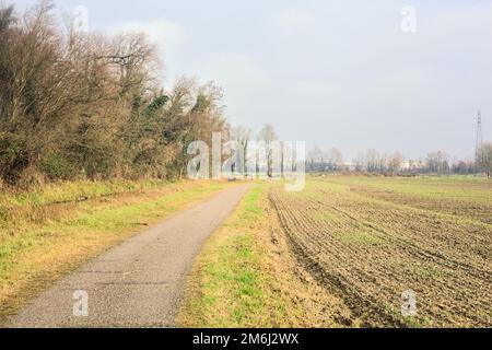 Asphaltierter Pfad mit einem Wald und einem Wasserstrahl am Rande inmitten von bebauten Feldern an einem bewölkten Tag in der italienischen Landschaft Stockfoto