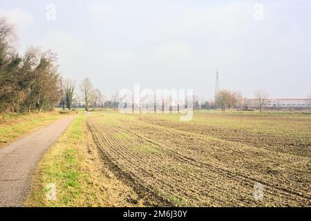 Asphaltierter Pfad mit einem Wald und einem Wasserstrahl am Rande inmitten von bebauten Feldern an einem bewölkten Tag in der italienischen Landschaft Stockfoto