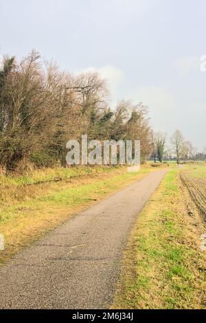 Asphaltierter Pfad mit einem Wald und einem Wasserstrahl am Rande inmitten von bebauten Feldern an einem bewölkten Tag in der italienischen Landschaft Stockfoto