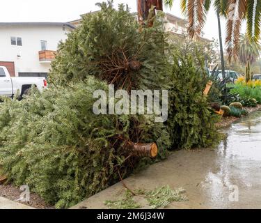 Entsorgte Weihnachtsbäume stapeln sich auf dem Bürgersteig in Los Angeles, Kalifornien. Stockfoto