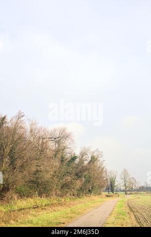 Asphaltierter Pfad mit einem Wald und einem Wasserstrahl am Rande inmitten von bebauten Feldern an einem bewölkten Tag in der italienischen Landschaft Stockfoto