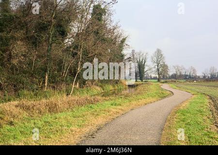Asphaltierter Pfad mit einem Wald und einem Wasserstrahl am Rande inmitten von bebauten Feldern an einem bewölkten Tag in der italienischen Landschaft Stockfoto