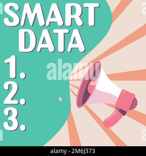 Handschriftliches Schild Smart Data. Konzept für digitale Informationen, die zur weiteren Konsolidierung formatiert werden Stockfoto