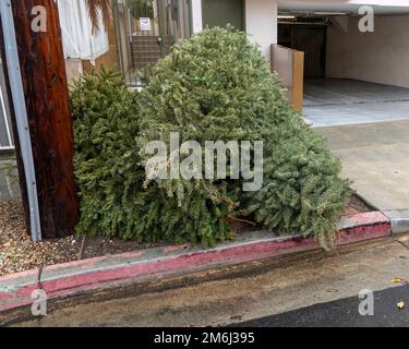 Entsorgte Weihnachtsbäume stapeln sich auf dem Bürgersteig in Los Angeles, Kalifornien. Stockfoto